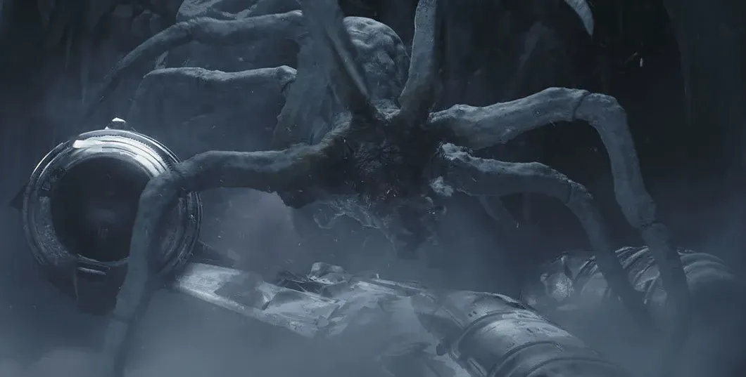 Araignée des glaces