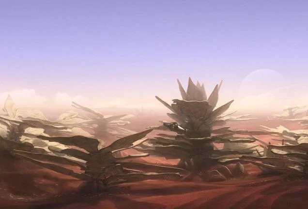 Barrière de Corail d'Atollon