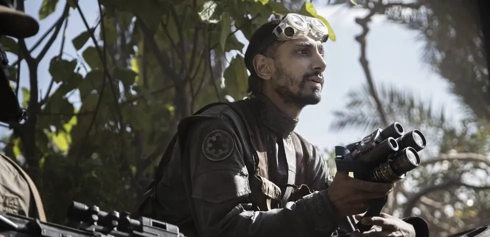 Bodhi Rook