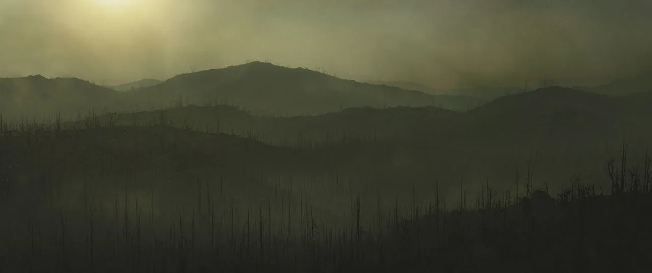 Corvus