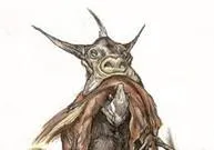 Anooba