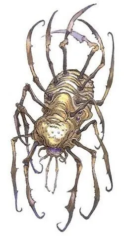 Une Araignée Energétique.