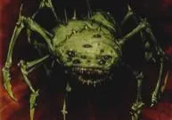 Araignée Energétique