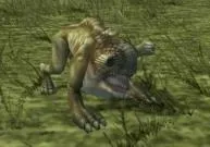 Cannok