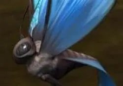 Carrier butterfly