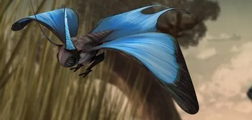 Un Carrier butterfly.