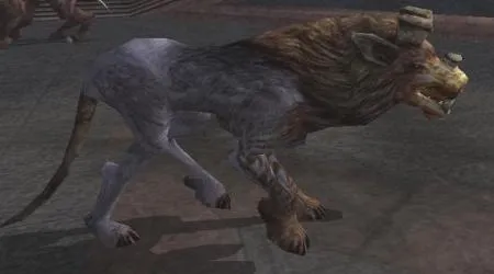 Un Chien Kath traditionnel