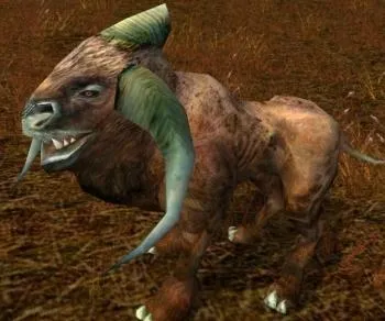 Chien Kath à cornes