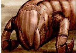 Cliffborer Worm