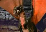 Dragon-Condor