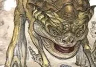 Galoomp