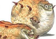 Gullipud
