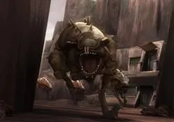 Gutkurr