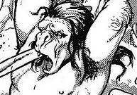 Hairy Savage