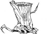 Araignée-arbre Telkadis