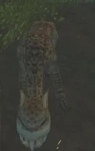 Maalraas