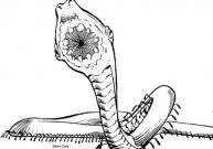Millitile