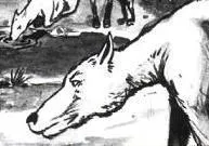 Mutriok