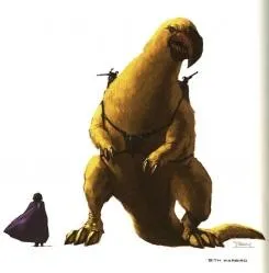 Un Oiseau de Guerre et un humain.