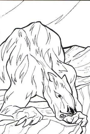 Ours d'Oemir chassant.