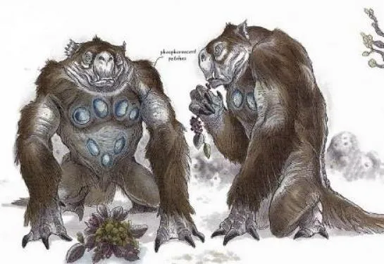 Un couple de Paresseux Lumineux sur Dagobah.