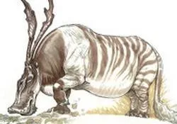 Runyip