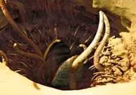 Sarlacc
