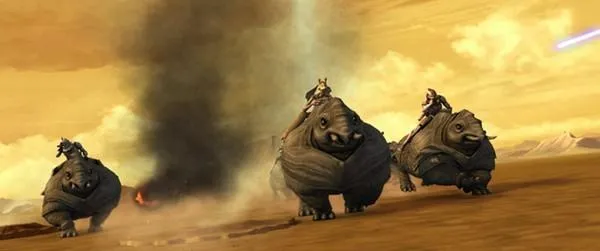 Course-poursuite sur Florrum. 