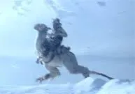 Tauntaun