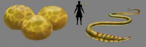 Des œufs et un Ver de Cerveau Geonosien. 