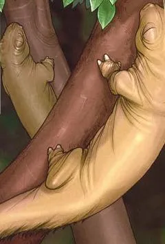 Ysalamiri sur Myrkr.