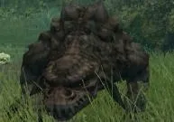 Zakkeg