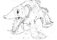 Zuxu