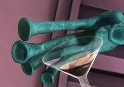 Domaine de la Maison sur le Lac