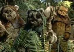 Noms Ewoks