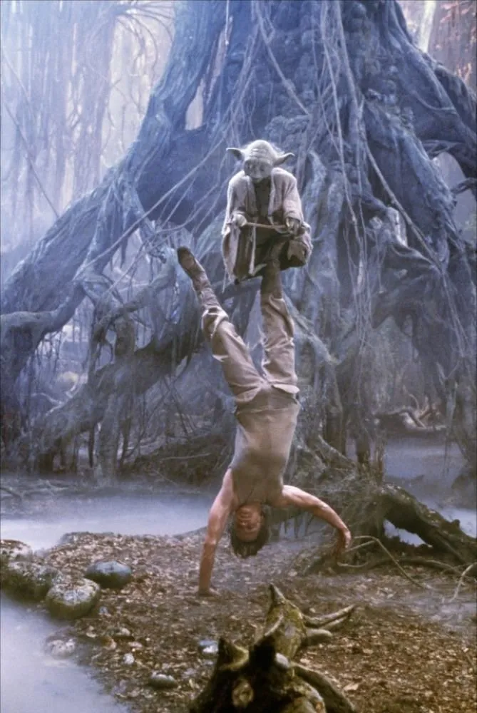 Entraînement sur Dagobah