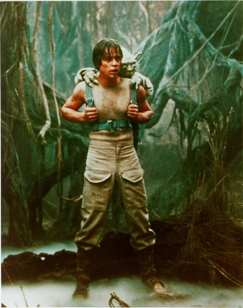 Entraînement sur Dagobah