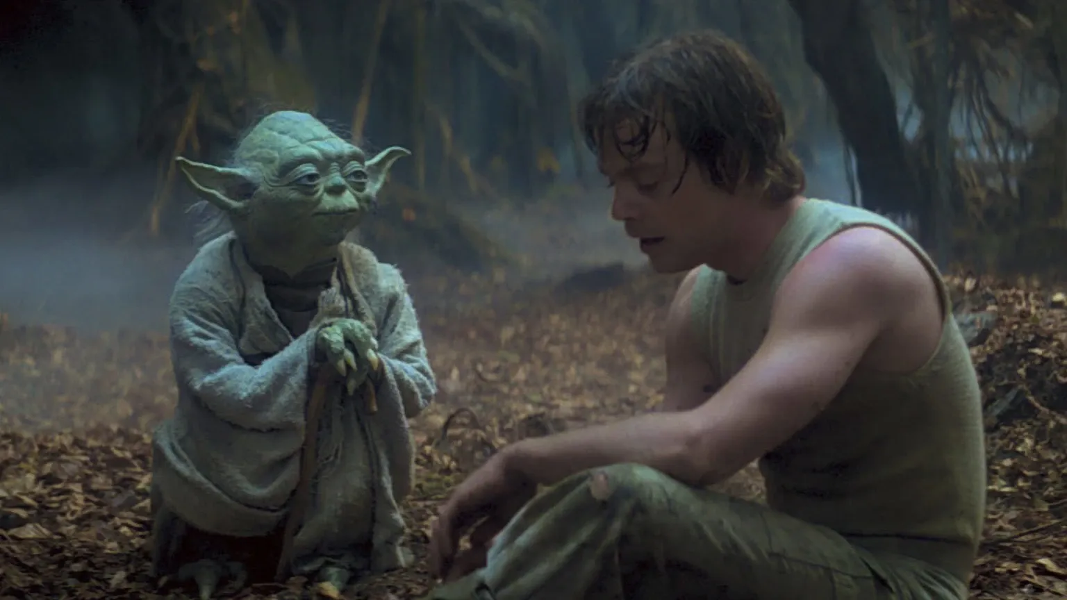 Yoda et Luke Skywalker sur Dagobah