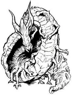 Kadri'Ra de taille moyenne