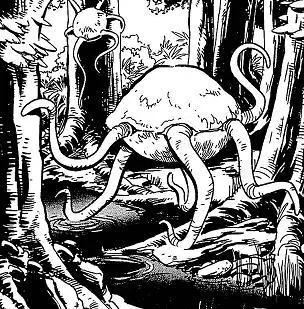 Orgon dans son habitat naturel