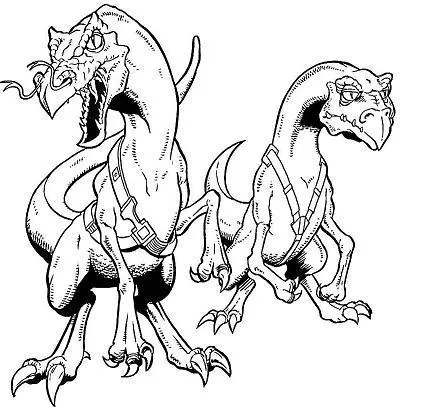 Ssi-ruu (à gauche), P'w'eck (à droite)