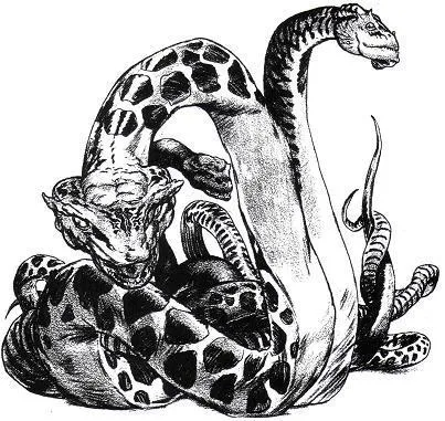 Groupe de Slith adultes