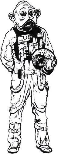 Pilote Sullustéen