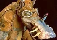 Vulptereen