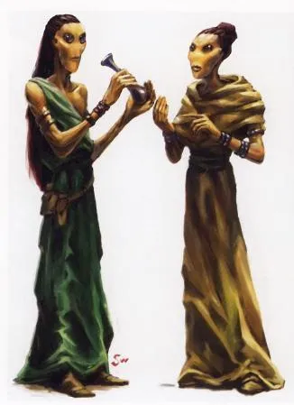 Deux Woostoids en costumes traditionnels