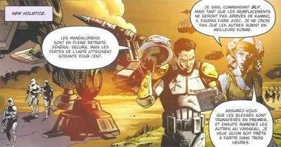 Bataille de New Holstice