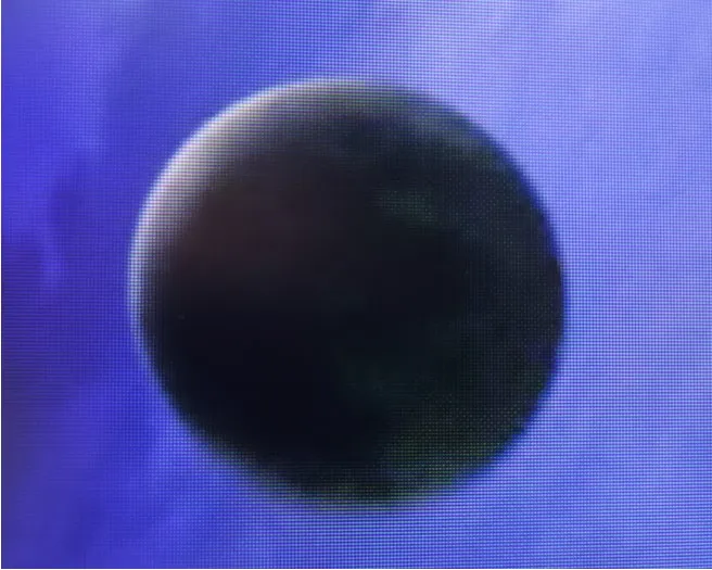 Lune Ordo