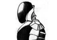 Armure Arelik