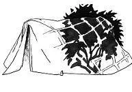 DuraShelter