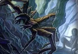 Clan de l'Araignée